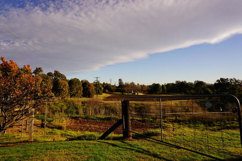 Muswellbrook Northside B&B - New Castle Tourism 3