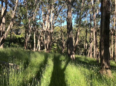 Mylor Farm, Adelaide Hills - Newcastle Accommodation 0