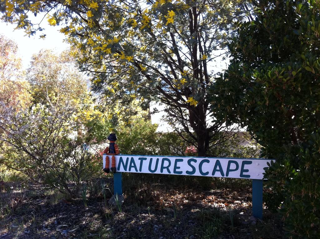 Sawpit Creek NSW Newcastle Accommodation