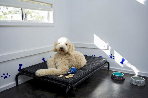 Discovery Parks - Woodman Point - Newcastle Accommodation 7