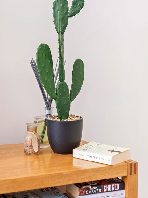 Cooper Street - Newcastle Accommodation 23