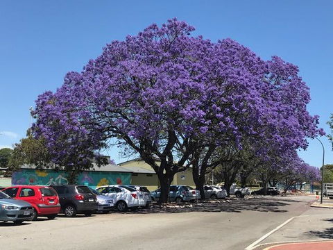 Gerring Court With Free 1 Car Bay Parking - Newcastle Accommodation 20
