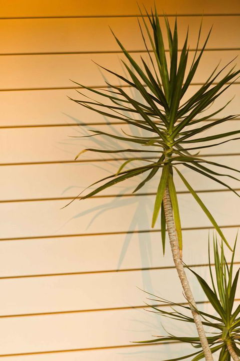 The Billi Resort - Newcastle Accommodation 44