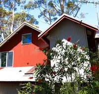 Pelicans at Denmark - New Castle Tourism