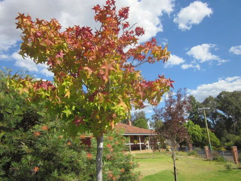 Bridgetown Valley Lodge - Newcastle Accommodation 40