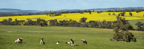 Kendenup Cottages And Lodge - Newcastle Accommodation 44