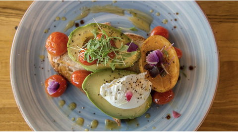 Latitude20 Searipple Rd - Newcastle Accommodation 14