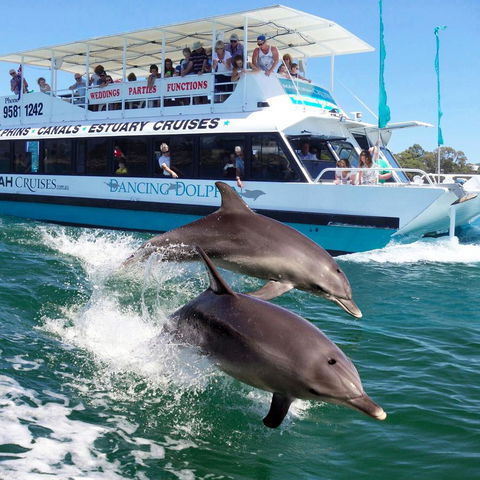 Mandurah Coastal Holiday Park - Newcastle Accommodation 0