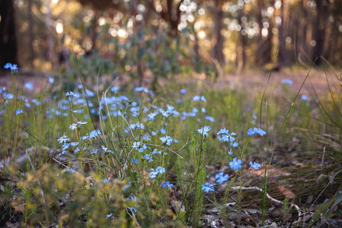 Amaroo Retreat & Spa - Newcastle Accommodation 15