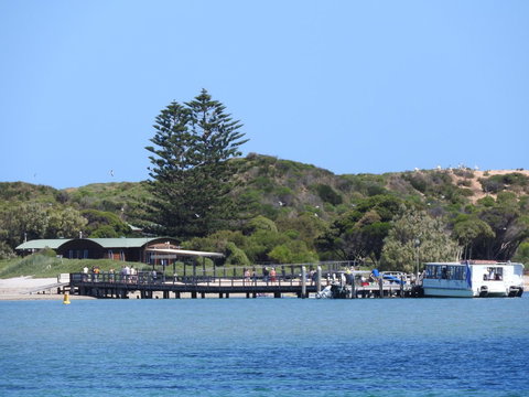 The Royal Dolphin Bed & Breakfast Safety Bay - Newcastle Accommodation 9
