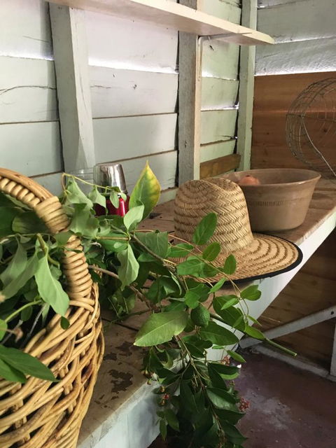 Historic Oakhill House Entire Estate - Newcastle Accommodation 21