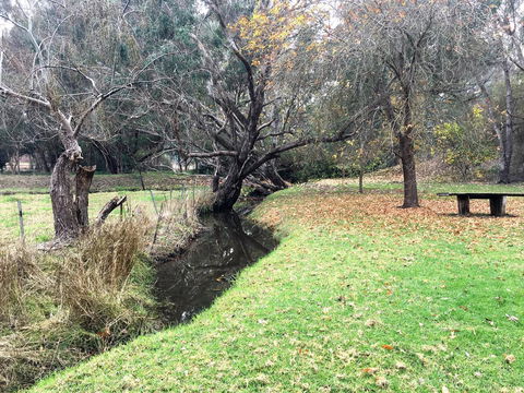 Historic Oakhill House Entire Estate - Newcastle Accommodation 18