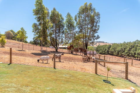 'Bindoon Valley Escape' Cottage - New Castle Tourism 10