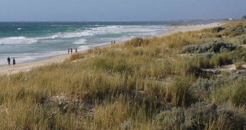 Scarborough & Absolutely Beachfront - Newcastle Accommodation 2