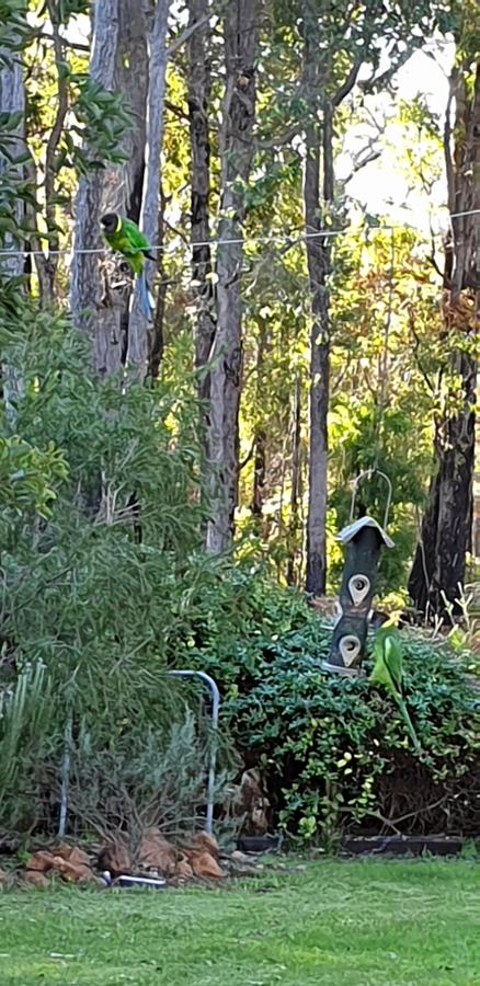 Di's Cabin In Dwellingup - Newcastle Accommodation 6