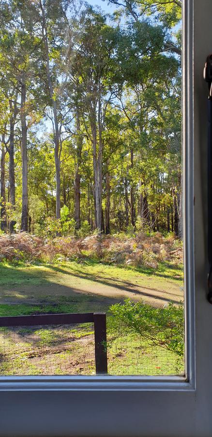 Di's Cabin In Dwellingup - Newcastle Accommodation 2