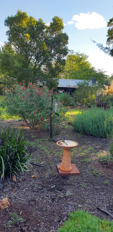 Di's Cabin In Dwellingup - Newcastle Accommodation 14