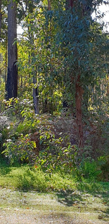 Di's Cabin In Dwellingup - Newcastle Accommodation 8