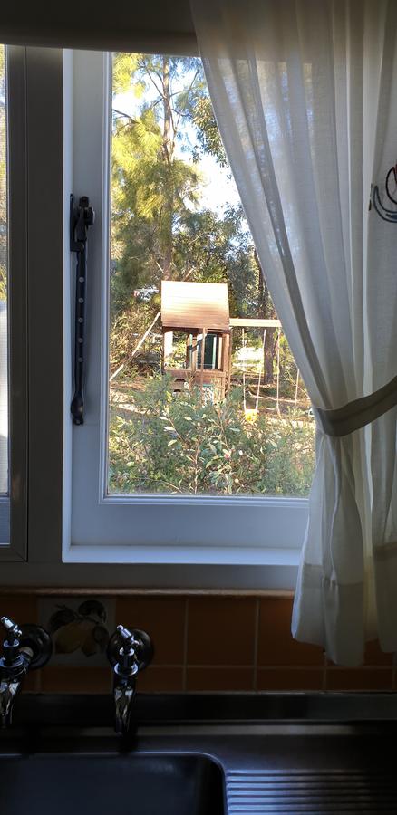 Di's Cabin In Dwellingup - Newcastle Accommodation 15