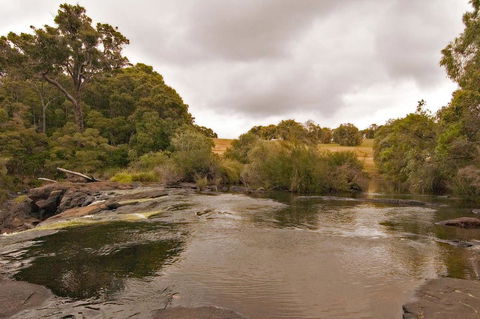 Arum - Close To The Margaret River - Newcastle Accommodation 12
