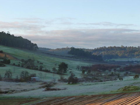 Bickley Valley Cottage - New Castle Tourism 6