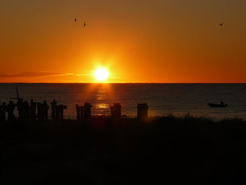 Jurien Bay Tourist Park - New Castle Tourism 28