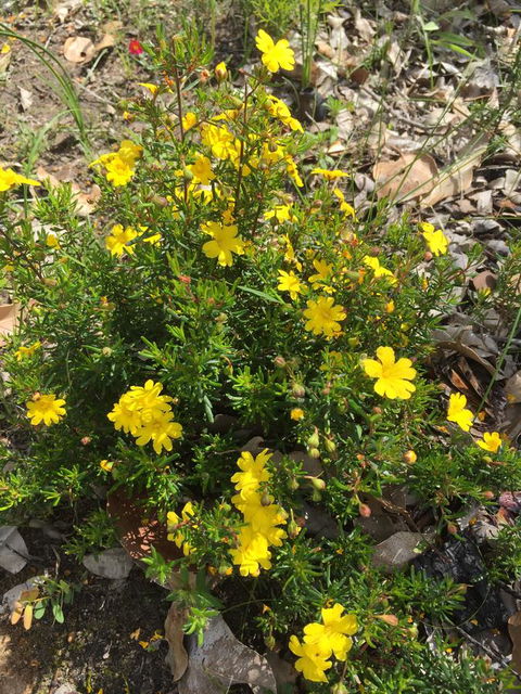 Eagle Bay House - Newcastle Accommodation 6