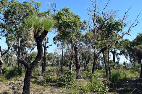 Eagle Bay House - Newcastle Accommodation 33