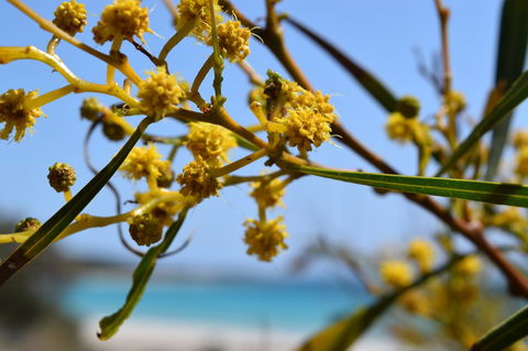 Eagle Bay House - Newcastle Accommodation 28