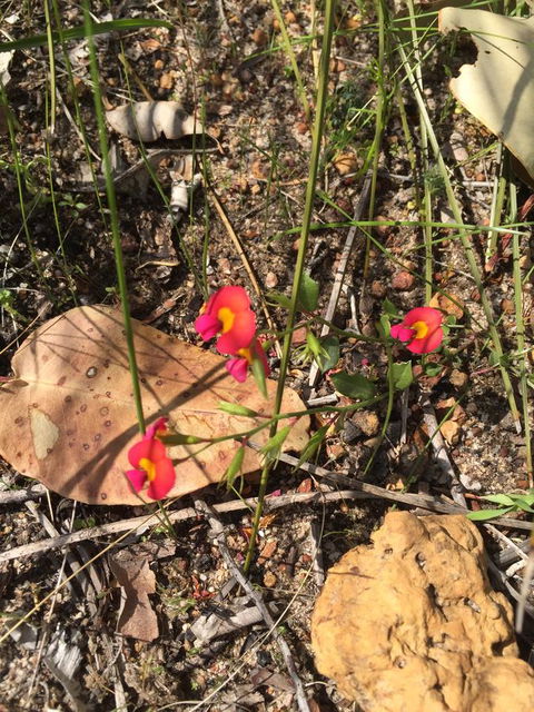 Eagle Bay House - Newcastle Accommodation 34