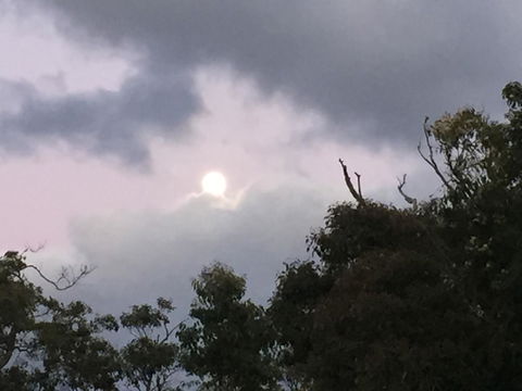 Eagle Bay House - Newcastle Accommodation 17