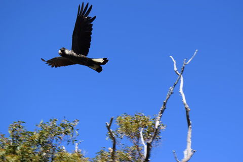 Eagle Bay House - Newcastle Accommodation 8
