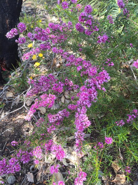 Eagle Bay House - Newcastle Accommodation 1