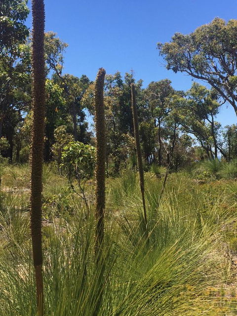Eagle Bay House - Newcastle Accommodation 15