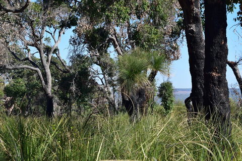 Eagle Bay House - Newcastle Accommodation 32