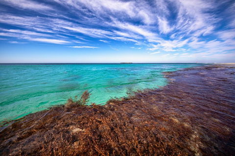 Discovery Resorts - Rottnest Island - New Castle Tourism 24