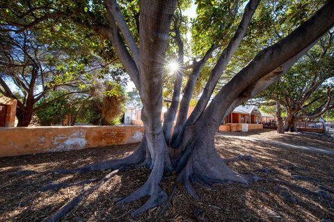 Discovery Resorts - Rottnest Island - New Castle Tourism 23
