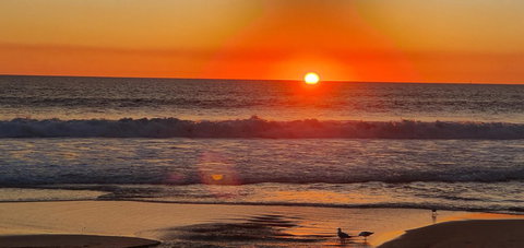 Scarborough Beach Front Resort - Shell Four - Newcastle Accommodation 2