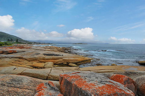 Harvey Farm Lodge - New Castle Tourism 2