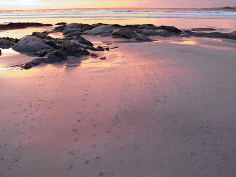 Beachend Bicheno - New Castle Tourism 2