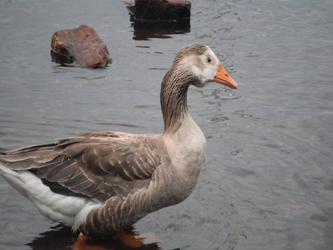 Maydena Chalet - Newcastle Accommodation 39