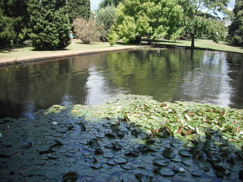 Maydena Chalet - Newcastle Accommodation 23