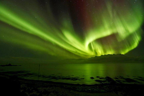 Maydena Chalet - Newcastle Accommodation 37