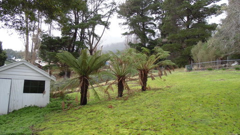 Maydena Chalet - Newcastle Accommodation 44