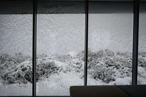 Maydena Chalet - Newcastle Accommodation 24