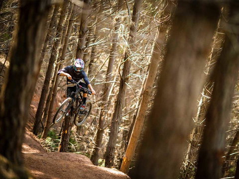 Maydena Chalet - Newcastle Accommodation 6