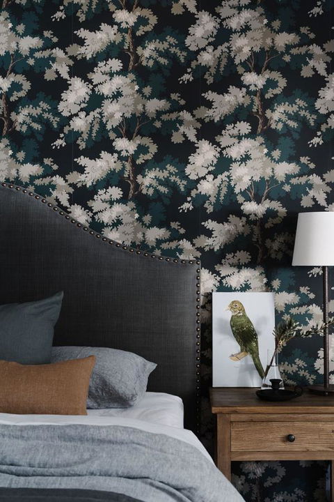 Ship Inn Stanley - Newcastle Accommodation 41