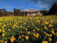 Book Golden Valley Accommodation Vacations New Castle Tourism New Castle Tourism