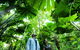NRMA Cairns Holiday Park - thumb 0