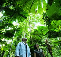 NRMA Cairns Holiday Park - New Castle Tourism